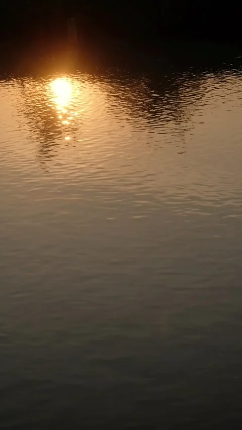 Vertical view of golden sunset reflecting on rippling river water surface Stock-Footage 348485885