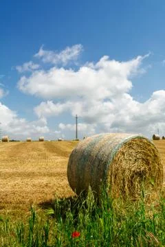Vertical View of a Grain Field with some Bales of Hay on Partially Cloudy Blu Stock Photos