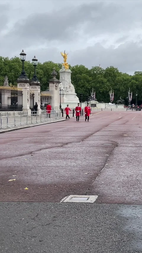 Vertical View of Guards at Buckingham Palace London England 库存影片 334701769