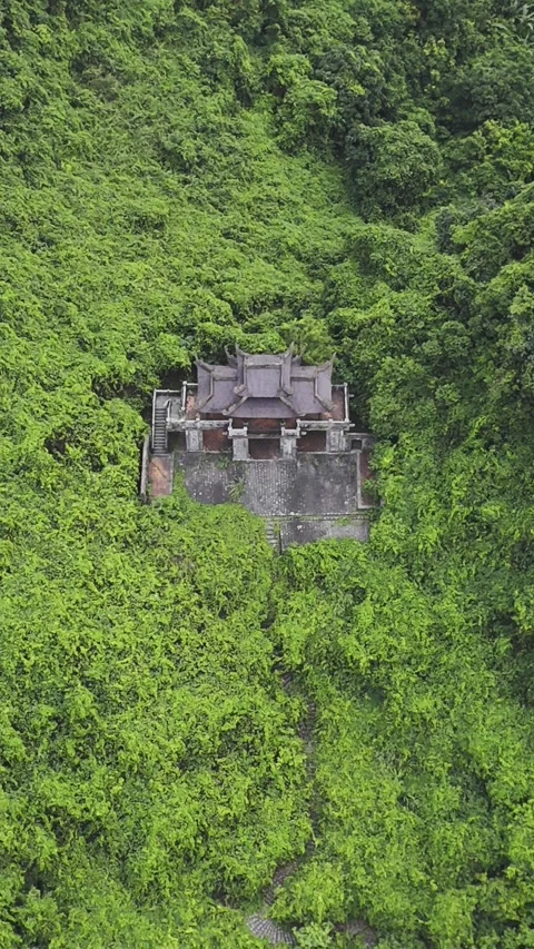 Vertical view of hidden temple in lush vegetation, Trang An, Ninh Binh – 4K Stock Footage 325040563