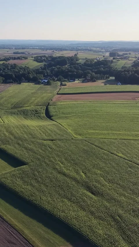 Vertical view. High angle view of rural land use and agriculture Stock Footage 348630532