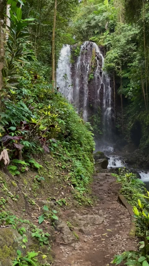 Vertical View Of Hiking Trail Leading To Waterfall In Bali Jungle 動画素材 342194881