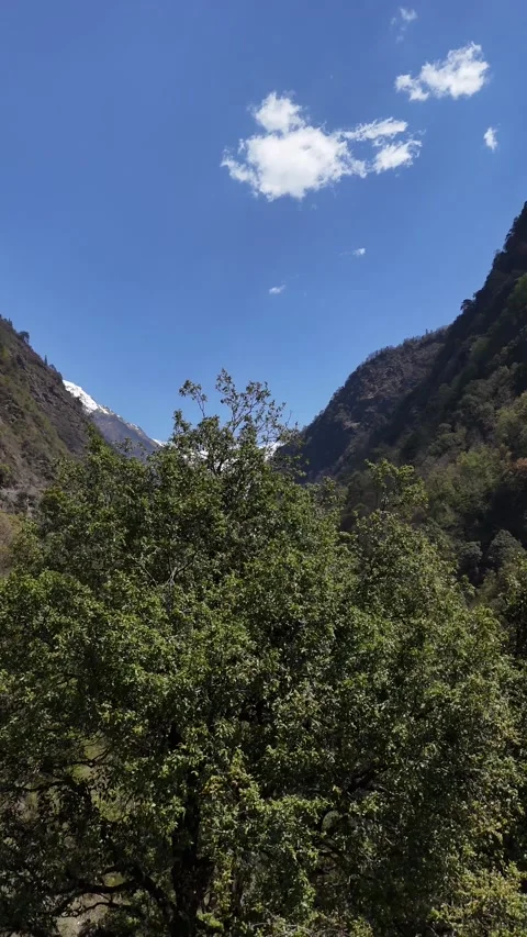 Vertical View of Himalayan Mountain Valley Near Kedarnath Uttarakhand India Vídeo Stock 335013883