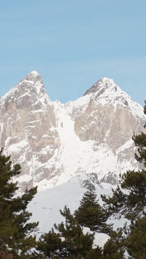 Vertical view Iconic Ushba twin peak framed by dense conifer forest in Cauc.. Stock-Footage 311656684