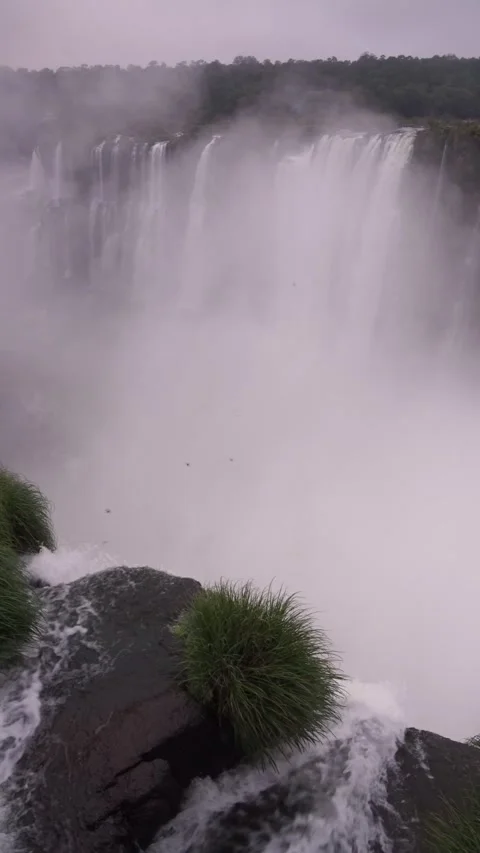 Vertical View of Iguazu Falls Emerging Through Mist in Argentina Stock Footage 341555487