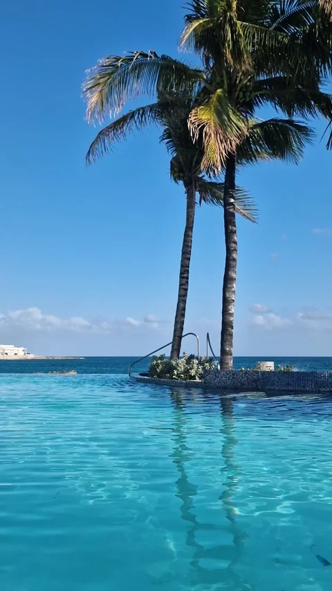Vertical View, Infinity Swimming Pool With Palms and Caribbean Sea, Luxury Stock Footage 344402999