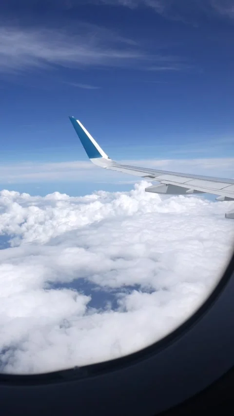 Vertical view from inside a commercial aircraft, from the window you can see the Stock Footage 312109201