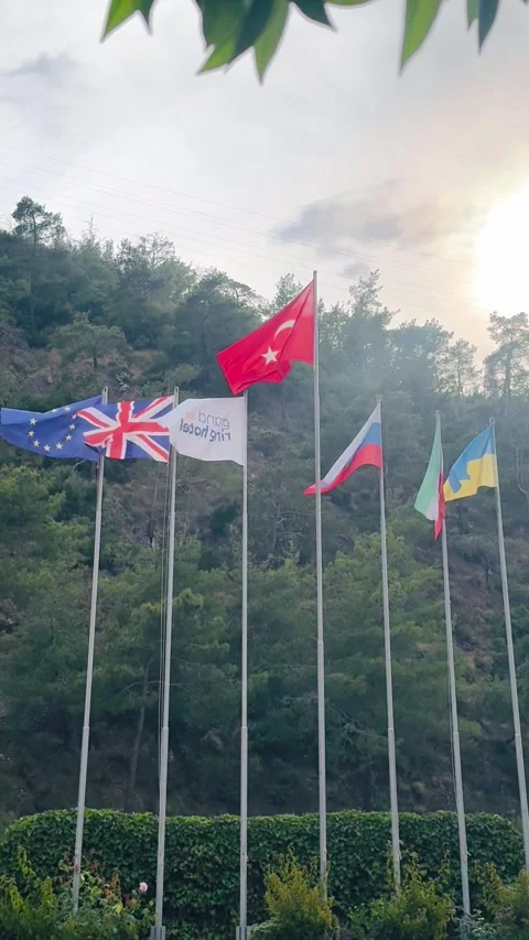 Vertical View of International Flags Waving Outdoors in Mountain Resort Area. 库存影片 336338533