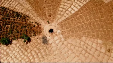 Vertical view of irrigation circles Stock Footage