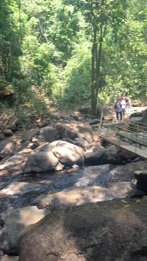 Vertical view of jungle stream bridge and tourists near Dudhsagar in Goa 스톡 동영상 342997473