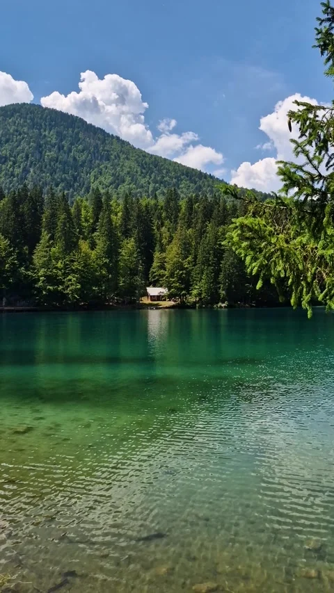 Vertical View of Lakefront Cabin in Pine Forest, Emerald Alpine Water and Stock Footage 340153952