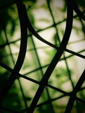 Vertical view of lines creating a pattern in the shades of green Stock Photos