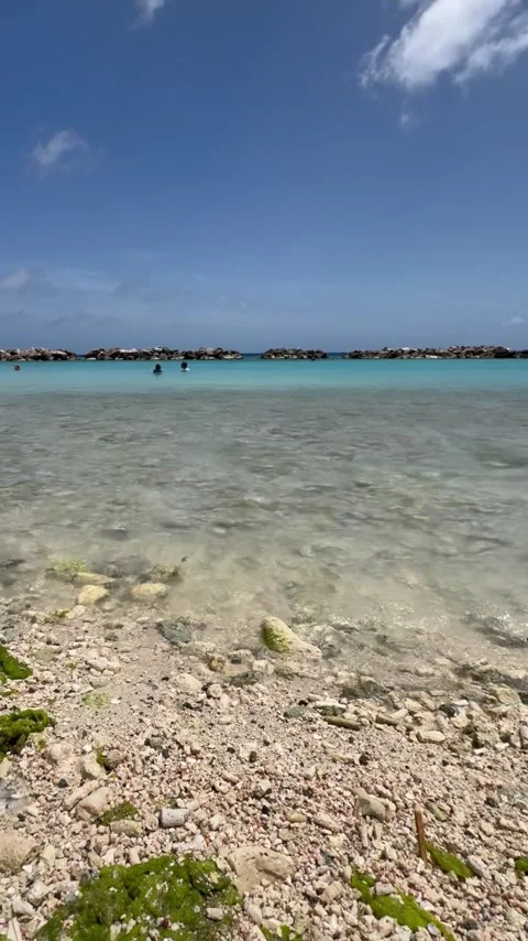 Vertical View Of Mambo Beach Curacao Stock Footage 335256024