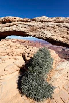 Vertical view of mesa arch Foto stock