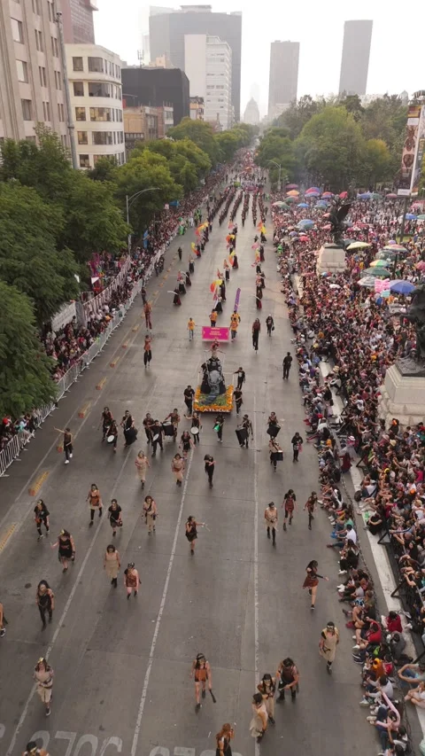 Vertical view of Mexico’s Dance of Death parade with many people lining the Stock Footage 308702032