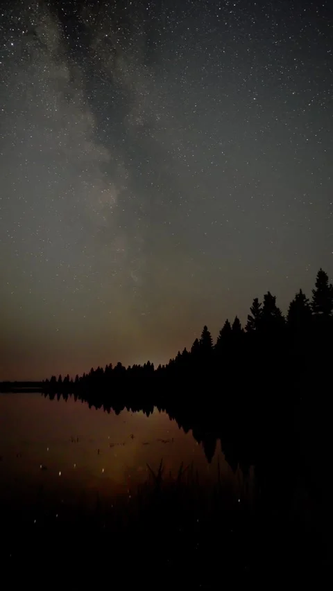 A vertical view of the Milky Way moving above a calm northern lake surrounded by Stock Footage 314131226