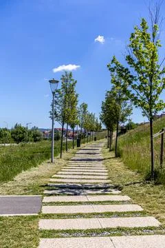 Vertical View of Modern Stone Slab Path in Public Park Stock Photos