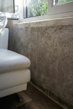 Vertical View of Mold on Wall Beneath Window Next to Sofa Stock Photos