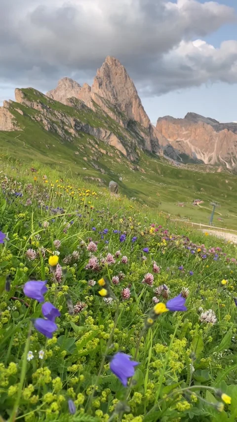 Vertical view of mountain Seceda  jagged ridges with wild flowers 스톡 동영상 284463829