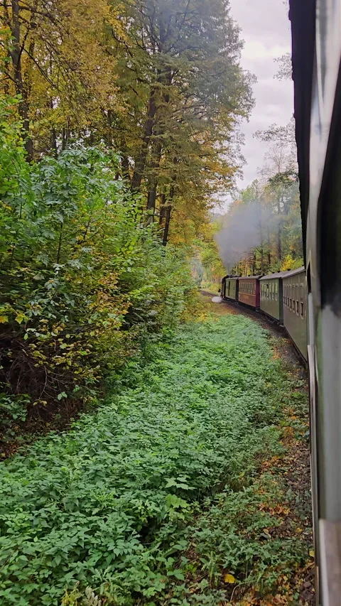 Vertical view from moving steam train riding along lush autumn forest curve. Stock-Footage 348252884