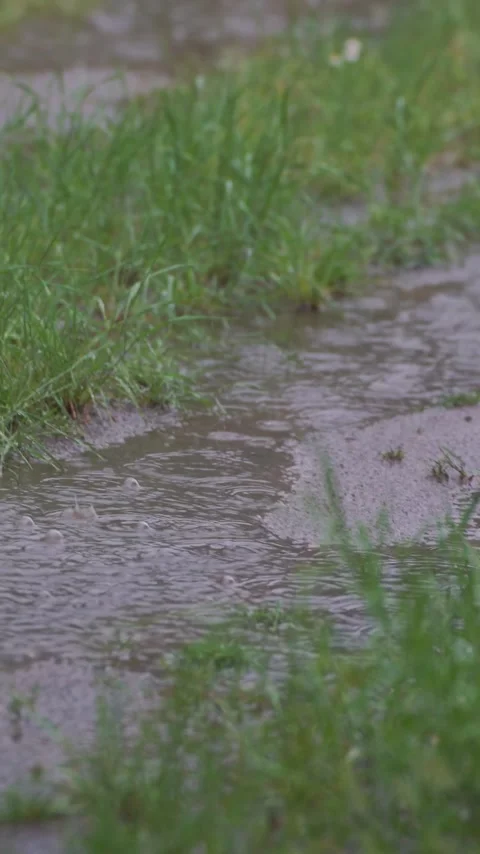 Vertical view. Muddy dirt path with puddles after rain Stock Footage 348631256