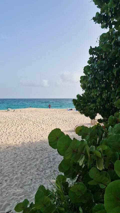 Vertical View of Mullet Bay Beach on St. Maarten Island in Caribbean Sea Video stock 343860317