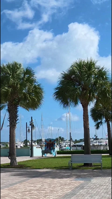 Vertical View: The New Riviera Beach Marina Village Waterfront and Skyline Stock Footage 330103073