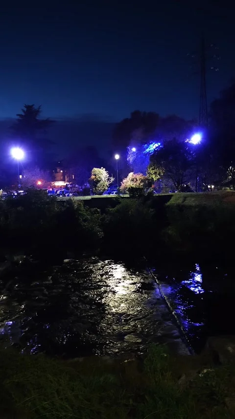 Vertical view of night river with blue lights on shore. Nighttime illumination Stock Footage 324831083