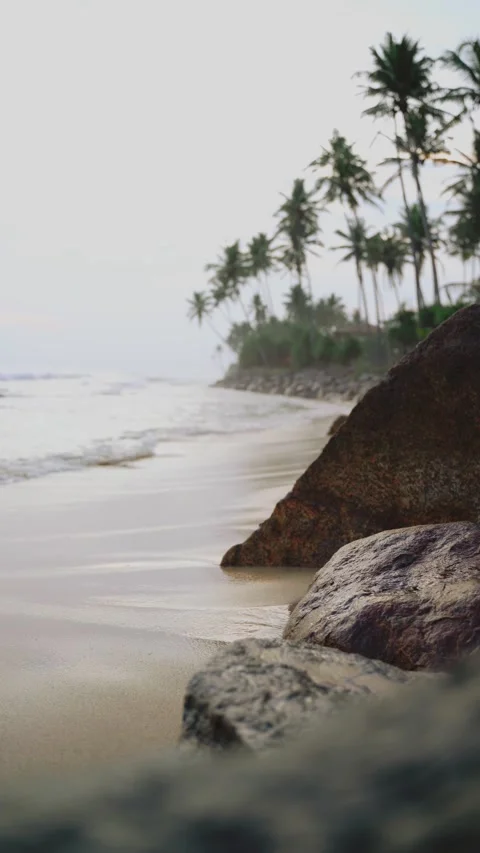 Vertical view on ocean waves and coconut trees Stock Footage 170847245