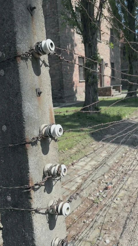 Vertical view of the original rusty barbed wire and electric fencing Stock Footage 344467926
