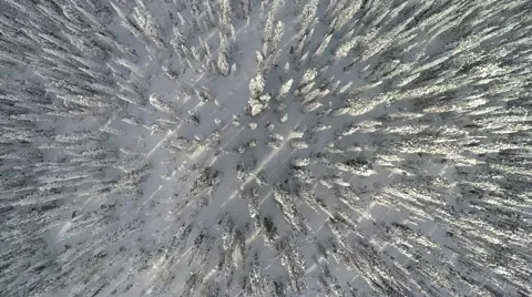 Vertical view, over deep snow Stock Footage 62769214
