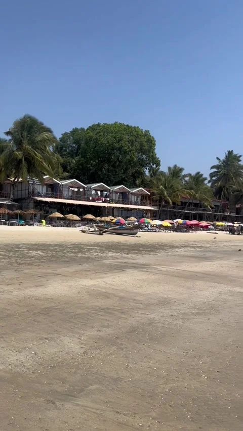 Vertical view of Palolem Beach coastline with shacks and palm trees in Goa 動画素材 342968299