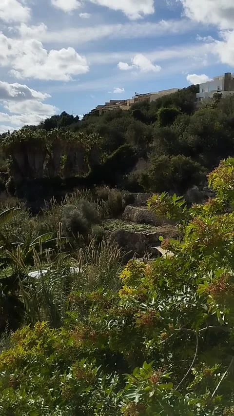 Vertical view pan over a valley in Gozo on a bright summer day. Video stock 281835639
