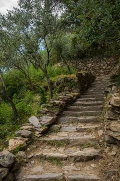 Vertical View of the Path between Corniglia and Vernazza at Summer. Stock Photos