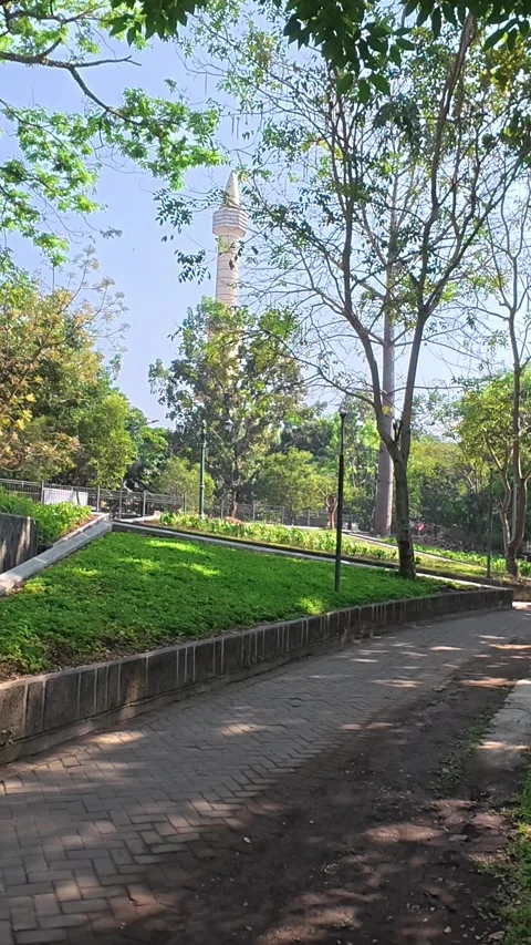 Vertical view of peaceful green park pathway in Yogyakarta Stock Footage 342577147
