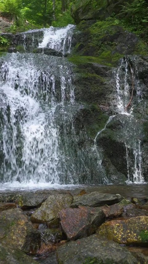Vertical View of Peaceful Waterfall in Mountain Stream, Fresh Water Flowing Slow Stock Footage 313594997