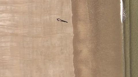 Vertical View Of Person Jogging Over Sandy Seacoast During Sunrise Stock Footage 295936441