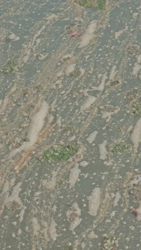 Vertical View of Polluted Murky Water with Foam Stockbeeldmateriaal 335107524
