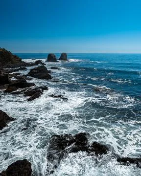 Vertical view of Punta de Lobos with its natural rocks in the background. Stock Photos