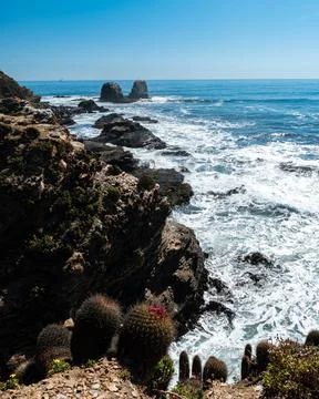 Vertical view of Punta de Lobos with its natural rocks in the background full Stock Photos