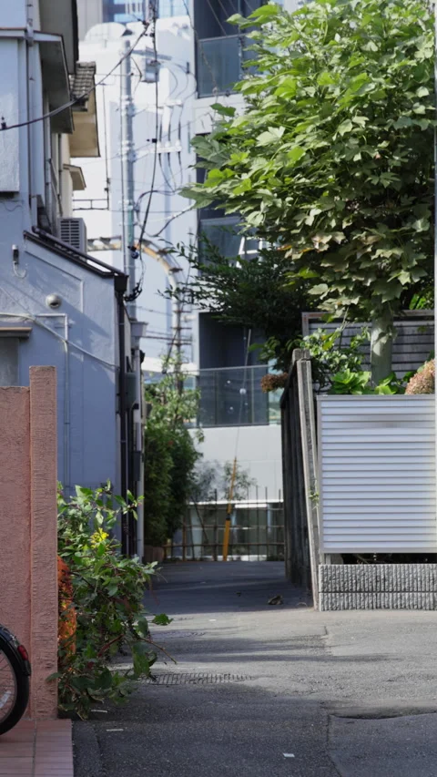Vertical view of a quiet backstreet with greenery in Japan Video stock 348403267