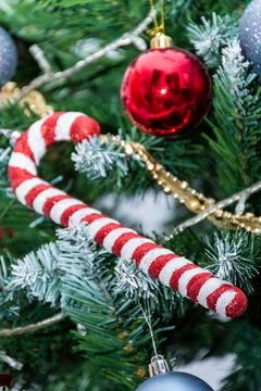 Vertical view red and white cane hanging from the Christmas tree 2021, 2022 R Stock Photos