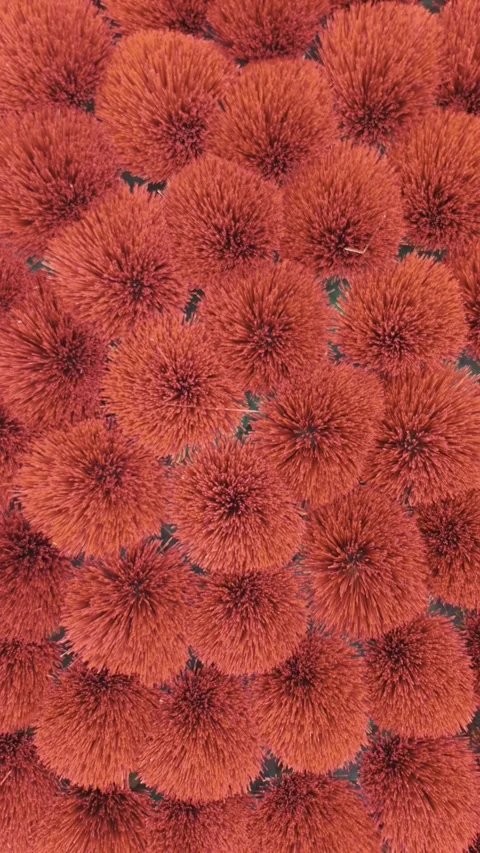 Vertical view of red incense sticks in a Hanoi village, Vietnam – 4K Stock Footage 325040503