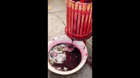 Vertical view of red-painted wooden slatted press dripping dark purple juice Stock Footage 341466353