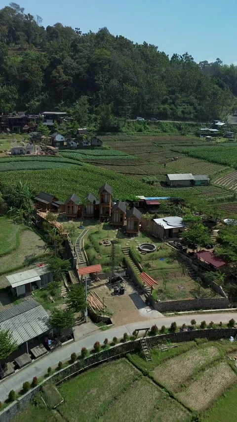 Vertical View of Rice Terraces and Countryside Houses August 2 2026 Video stock 341875633