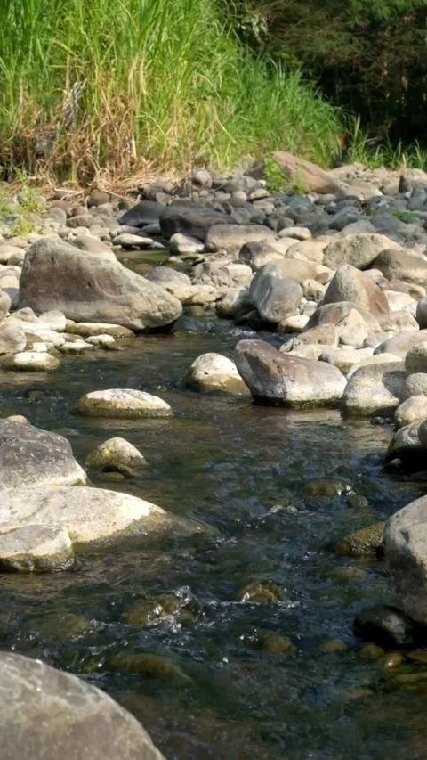 Vertical view of a rocky mountain river flowing clear in the dry season Stock Footage 323040450
