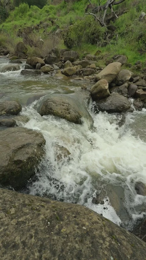 Vertical view of rushing whitewater rapids in a rocky creek Stock Footage 331164683