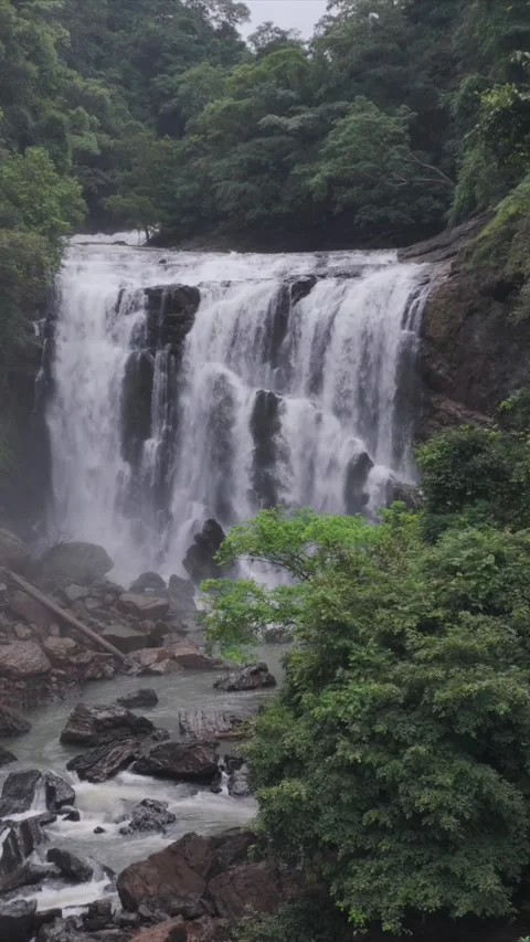 Vertical View of Sathodi Waterfall in Karnataka India Vidéo 334181449