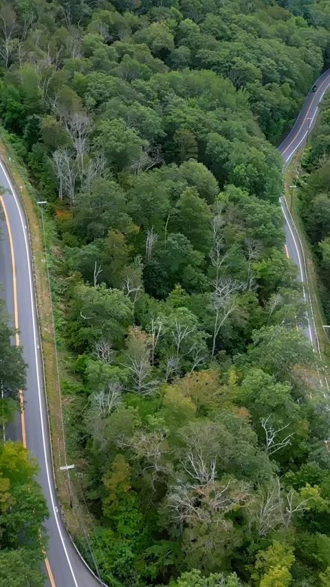 Vertical View Of Scenic Byways Of Mohawk Trail In The Berkshires Of Western 動画素材 332541718