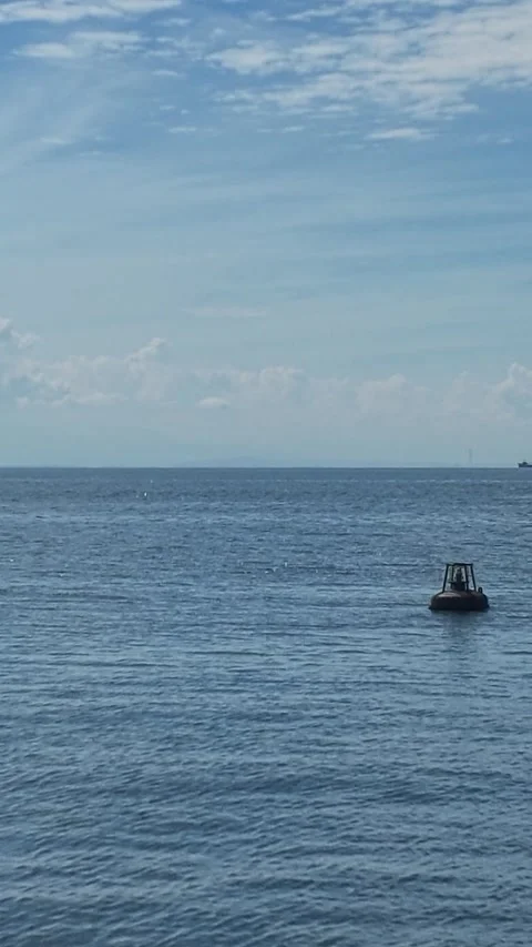 Vertical View of the Sea and Navigation Buoy Stock Footage 346186754